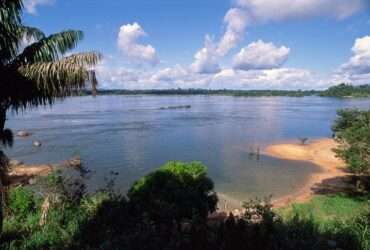 BNDES seleciona projetos de restauração ecológica na bacia hidrográfica do Xingu, nos estados do PA e de MT -