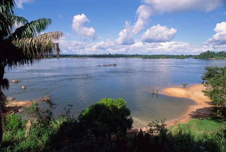 BNDES seleciona projetos de restauração ecológica na bacia hidrográfica do Xingu, nos estados do PA e de MT -