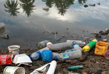 Cerca de 8 milhões de toneladas de plásticos vão parar nos oceanos todos os anos, trazendo graves prejuízos para o meio ambiente