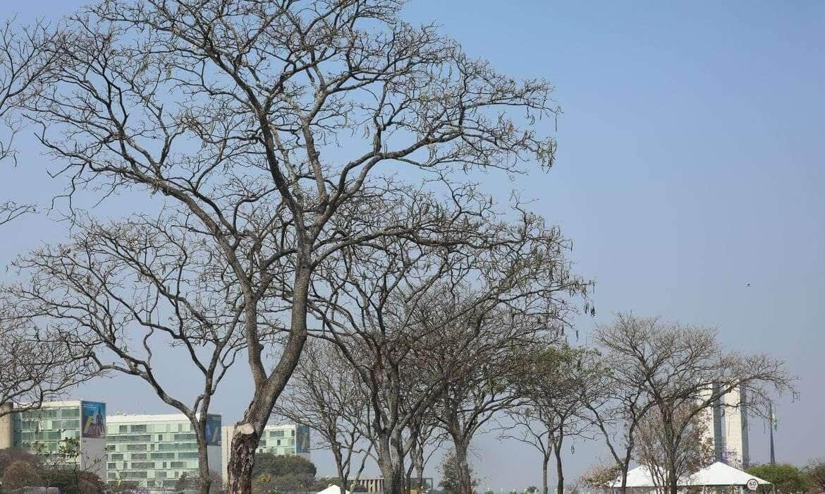 seca - Foto: Jose Cruz/Agência Brasil