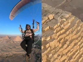 Cachorro caramelo é flagrado no topo da maior pirâmide do mundo