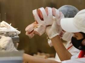 Comércio de peixes e pescados para a Semana Santa