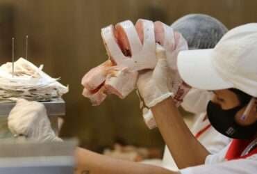 Comércio de peixes e pescados para a Semana Santa