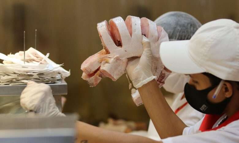 Comércio de peixes e pescados para a Semana Santa