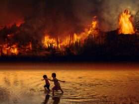 Corpo de Bombeiros segue no combate a nove incêndios florestais em Mato Grosso nesta segunda-feira (28)