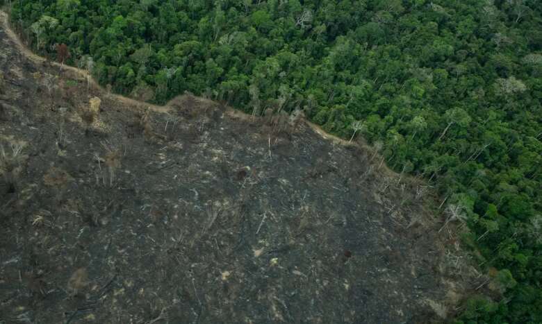 Rondônia. 17/09/2024 - Desmatamento em terra Indígena Karipuna. Foto: Christian Braga/Greenpeace