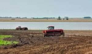 Chuvas atrasam plantio e limitam oferta de arroz no Rio Grande do Sul