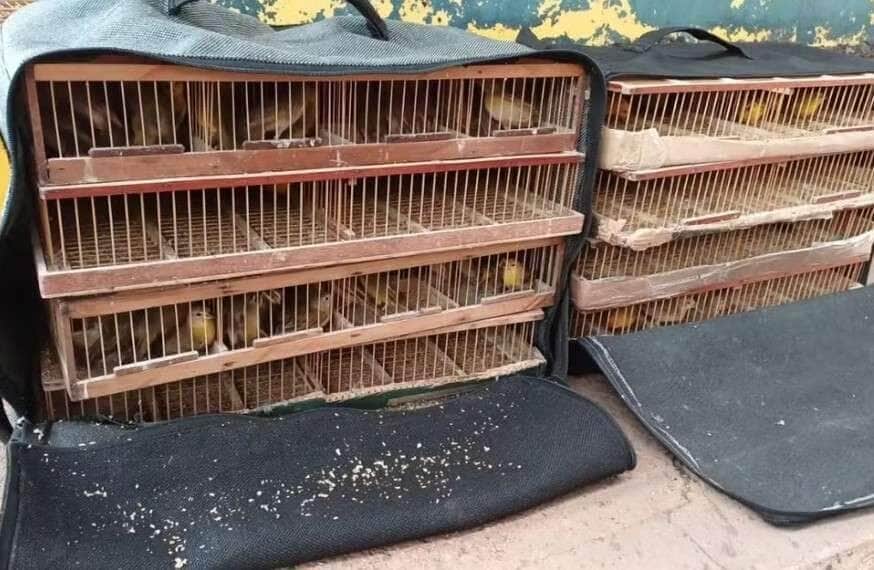 Foto: Polícia Rodoviária Federal