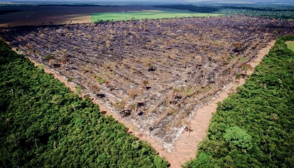 A grilagem de terras constitui um problema sério, pois é um fator que impulsiona a perda ambiental, gera insegurança jurídica e aumenta a desigualdade social.