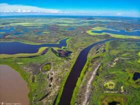 Bacia do Rio Paraguai inicia recuperação após mínimas históricas no Pantanal em Mato Grosso