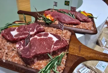 Carne de Mato Grosso e destaque na China 3 1024x576 1