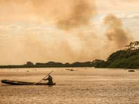 Comissão de Meio Ambiente investiga efeitos da estiagem e incêndios no Pantanal de Mato Grosso