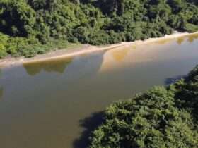 Corpo de homem que se afogou no Rio Braço do Norte é encontrado por bombeiros de Mato Grosso