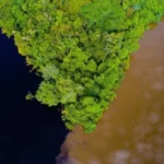 Mato Grosso e organização americana firmam parceria de US$ 100 milhões pela Amazônia