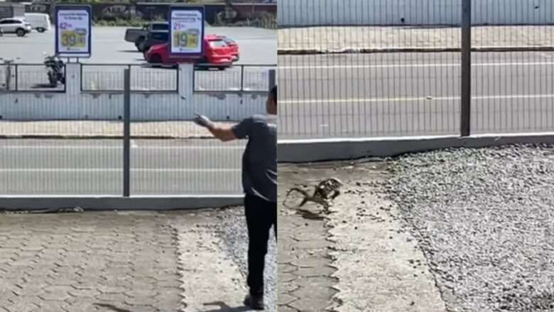 Homem é perseguido por lagarto enfurecido e vídeo viraliza