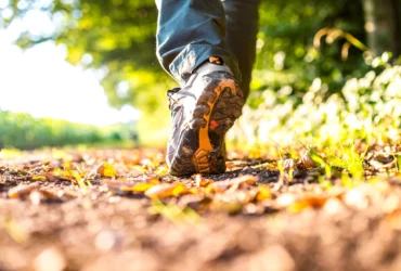 Horóscopo de amanhã - Passo a Passo