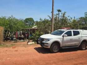 Idoso é preso em flagrante por enforcar cães até a morte em Mato Grosso