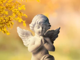 Mensagem do meu Anjo da Guarda