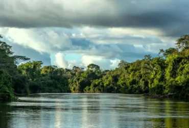 Ministério Público Federal luta para salvar o Parque Cristalino II em Mato Grosso