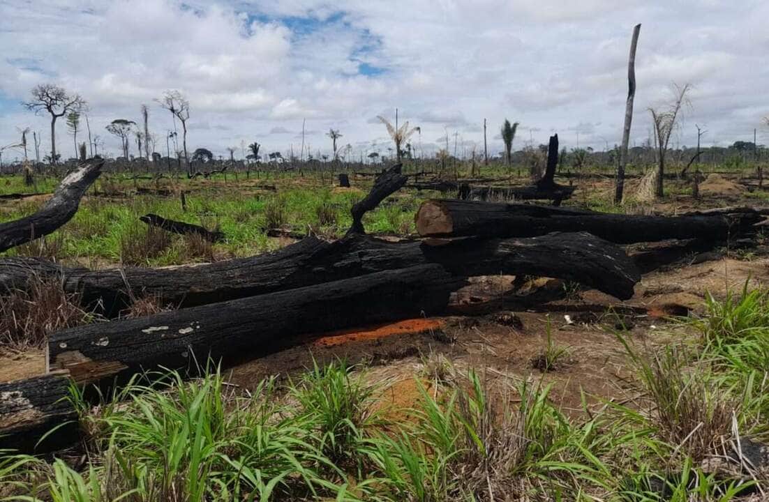 Operação Abafa Amazônia II autua propriedades rurais em Mato Grosso