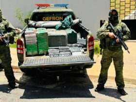 Polícia Federal e Gefron apreendem 552 kg de cocaína e causa prejuízo milionário ao crime organizado de Mato Grosso