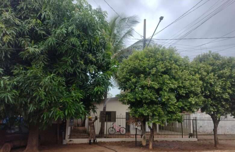 Princípio de incêndio em poste de energia elétrica é contido pelos bombeiros de Mato Grosso