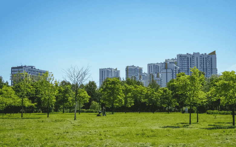 Projeto de arborização urbana é vetado em Mato Grosso