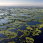 Rio Paraguai começa a se recuperar da seca em Mato Grosso e Mato Grosso do Sul