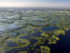 Rio Paraguai começa a se recuperar da seca em Mato Grosso e Mato Grosso do Sul