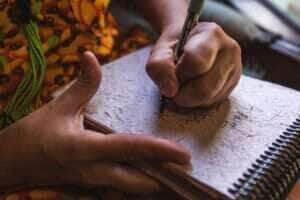 Secel vai convocar mais projetos classificados em editais da Lei Paulo Gustavo em Mato Grosso