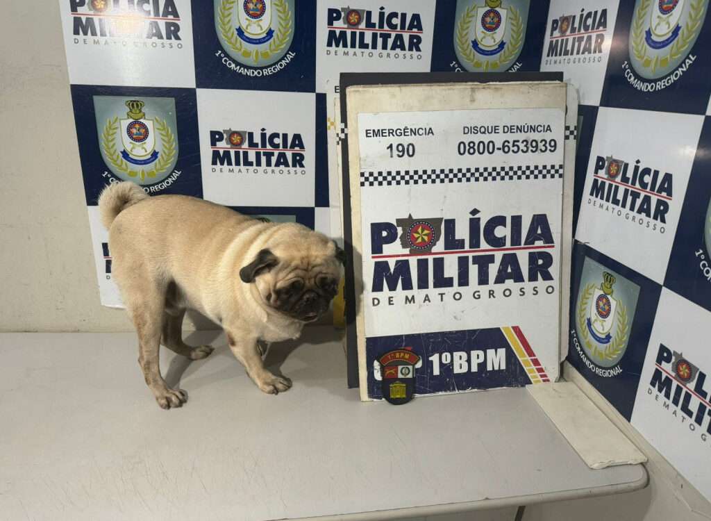 Sequestro de cachorro em Cuiabá!