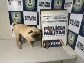 Sequestro de cachorro em Cuiabá!