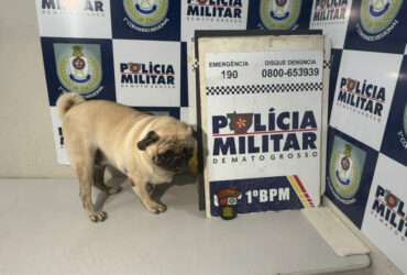 Sequestro de cachorro em Cuiabá!