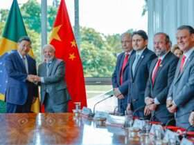 Agro brasileiro conquista quatro novos mercados na China