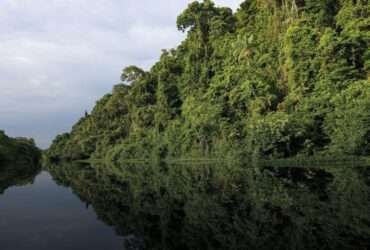 BNDES libera em sete meses 2,5 vezes o valor aprovado em dez anos de Fundo Clima -