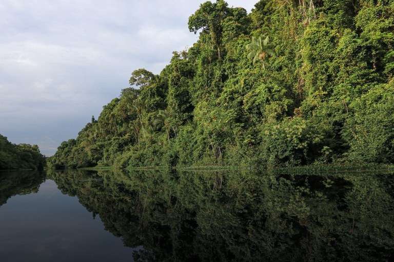 BNDES libera em sete meses 2,5 vezes o valor aprovado em dez anos de Fundo Clima -