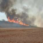 São Paulo (SP), 26/09/2024 - Incêndio em canavial. Foto: SEMIL/Divulgação