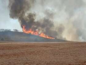 São Paulo (SP), 26/09/2024 - Incêndio em canavial. Foto: SEMIL/Divulgação