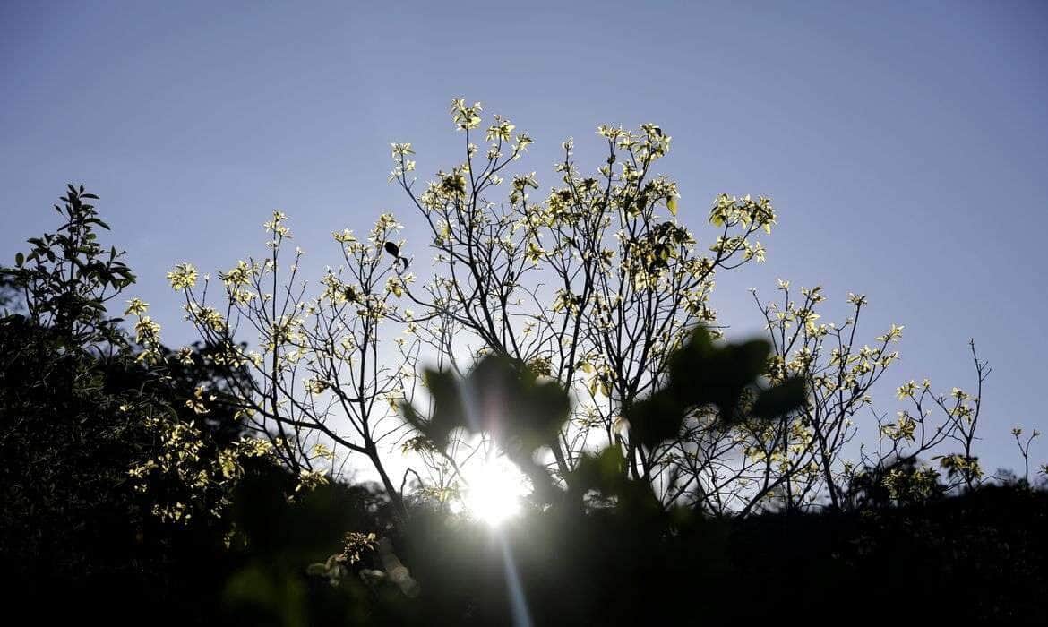 Cavalcante (GO) 12/09/2023 - Vista do cerrado na Comunidade quilombola Kalunga do Engenho II. O cerrado é um dos cinco grandes biomas do Brasil, cobrindo cerca de 25% do território nacional e perfazendo uma área entre 1,8 e 2 milhões de km2 Foto: Joédson Alves/Agência Brasil