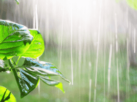 Como será o clima no Brasil em novembro?