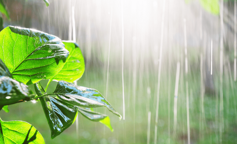 Como será o clima no Brasil em novembro?