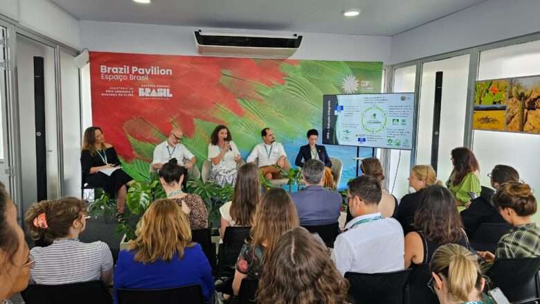 cop 16 fazenda pantaneira