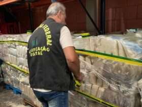 Fiscais retiram de rede de supermercados 10,5 mil quilos de arroz com disparidade de tipo