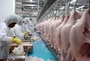 Produção de carne de frango deve atingir novo recorde em 2026, estimada em 15,86 milhões de toneladas