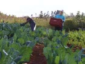 Fundo internacional adere à Aliança Global Contra a Fome com mais de R$ 1 bilhão - Divulgação