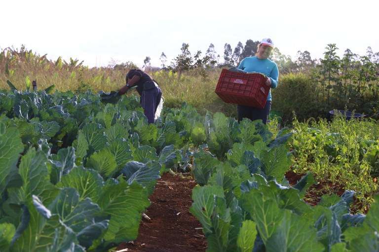 Fundo internacional adere à Aliança Global Contra a Fome com mais de R$ 1 bilhão - Divulgação