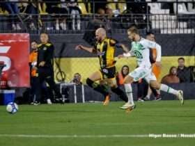 novorizontino, chapecoense, série b, brasileiro