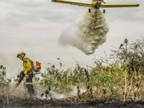 Corumbá (MS), 29/06/2024 - Com o auxílio de aviões, brigadistas do Prevfogo/Ibama combatem incêndios florestais no Pantanal. Foto: Marcelo Camargo/Agência Brasil