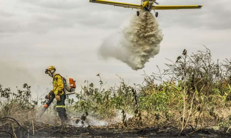 Corumbá (MS), 29/06/2024 - Com o auxílio de aviões, brigadistas do Prevfogo/Ibama combatem incêndios florestais no Pantanal. Foto: Marcelo Camargo/Agência Brasil