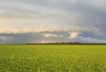 plantacao soja clima de chuva